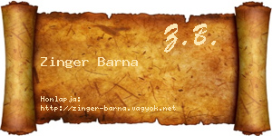 Zinger Barna névjegykártya